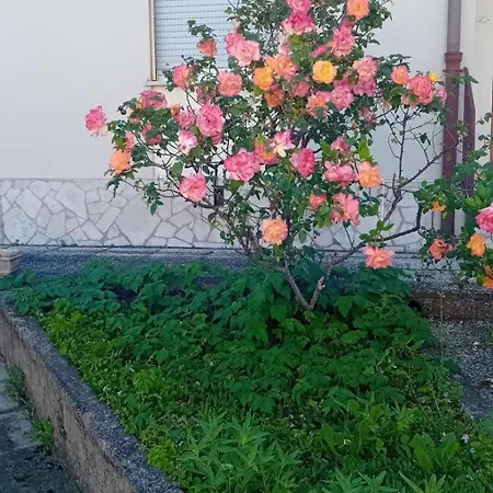 Casa Elena Semesterbostad *