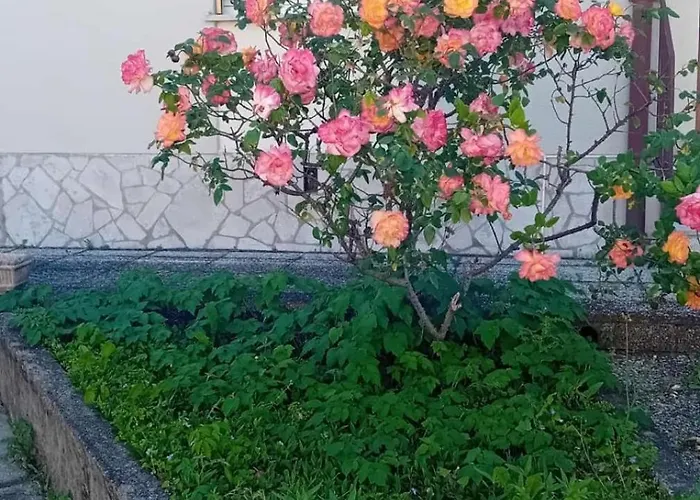 Casa Elena Σπίτι διακοπών *